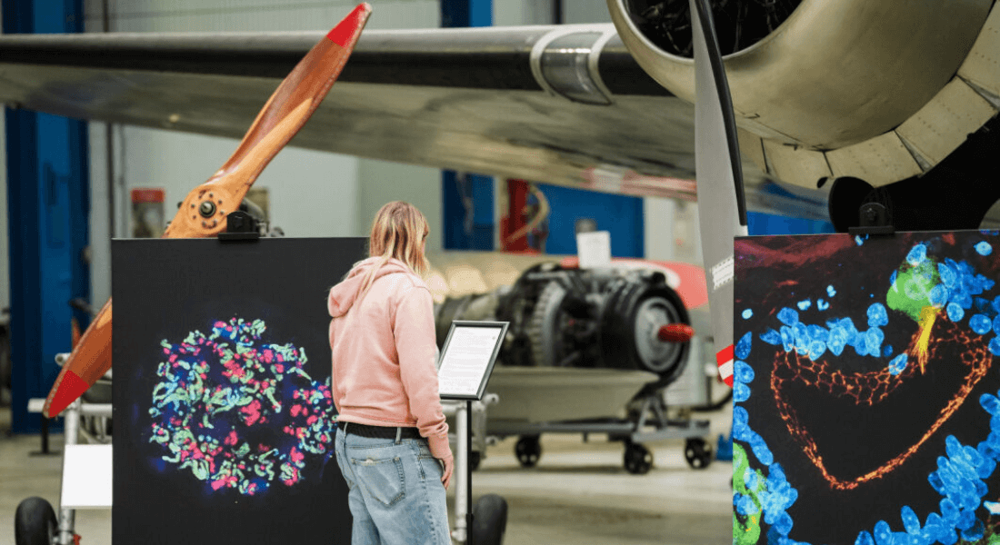 ARTxSCIENCE exhibition tour