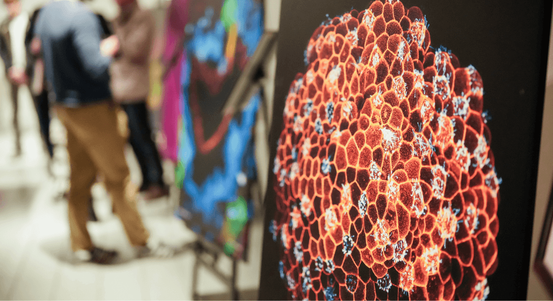 image part of exhibition