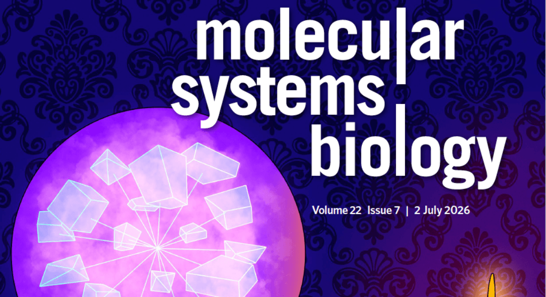 Name of the journal and an illustration