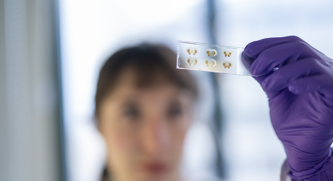 Girl looking at plate from the lab