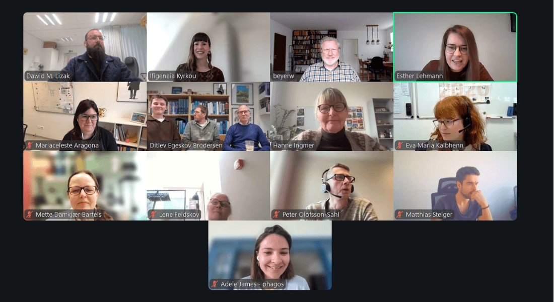 Screenshot of online meeting