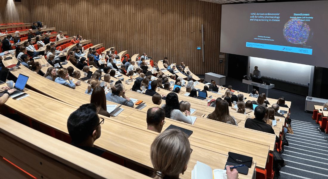 Auditorium with people during symposium