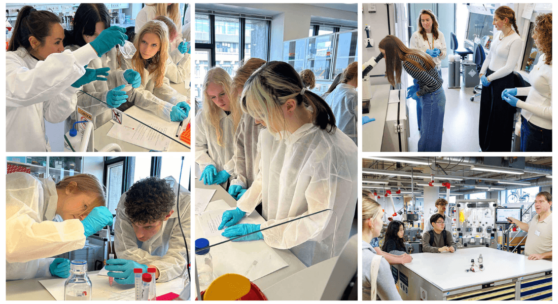 High school students exploring lab activities